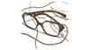 Chanel 3492 #colour_dark havana frame.clear blue light filter