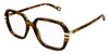 Chloe CH0205O #colour_havana with silver