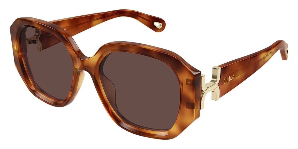Chloe CH0236S #colour_havana/brown