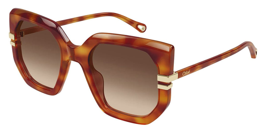 Chloe CH0240S #colour_shiny dark havana/brown gradient with light mirror