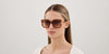 Chloe CH0240S #colour_shiny dark havana/brown gradient with light mirror