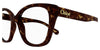 Chloe CH0241O#colour_havana