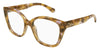 Chloe CH0241O#colour_shiny-dark-havana