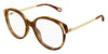 Chloe CH0328O#colour_shiny-dark-havana-and-gold
