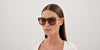 Chloe CH0349S #colour_havana and gold/brown gradient