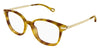 Chloe CH0359O #colour_havana and gold
