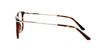 Calvin Klein CK19711 Light-Tortoise #colour_light-tortoise
