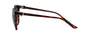 Cartier C Decor CT0186S Dark Tortoise/Grey Gradient #colour_dark-tortoise-grey-gradient