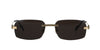 Cartier CT0271S Gold-Grey #colour_gold-grey
