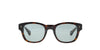 Cartier CT0278S Dark Tortoise/Green #colour_dark-tortoise-green