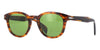 David Beckham DB1198-S#colour_shiny-brown-horn-green-with-light-mirror