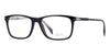 David Beckham DB1213#colour_black