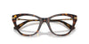Dolce&Gabbana DG3428#colour_havana