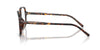 Dolce&Gabbana DG3442#colour_havana