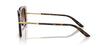 Dolce&Gabbana DG4491 #colour_havana on white barrow/brown gradient