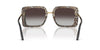 Dolce&Gabbana DG4491 #colour_black on leopard/grey gradient