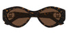GucciGG2121S#colour_darkhavanawithgold-brown