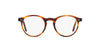 Polo Ralph Lauren PH2083 Dark Tortoise #colour_dark-tortoise