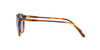 Polo Ralph Lauren PH4110 Dark Tortoise/Blue #colour_dark-tortoise-blue