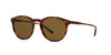 Polo Ralph Lauren PH4110 Light Tortoise/Green #colour_light-tortoise-green