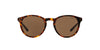Polo Ralph Lauren PH4110 Dark Tortoise/Brown 1 #colour_dark-tortoise-brown-1
