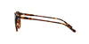 Polo Ralph Lauren PH4110 Dark Tortoise/Brown 1 #colour_dark-tortoise-brown-1