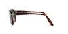 Persol PO0714 Dark Tortoise/Green #colour_dark-tortoise-green