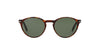 Persol PO3092SM Dark-Tortoise-Green #colour_dark-tortoise-green