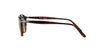 Persol PO3092SM Dark-Tortoise-Green #colour_dark-tortoise-green