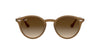 Ray-Ban RB2180 Brown/Brown Gradient #colour_brown-brown-gradient