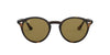 Ray-Ban RB2180 Dark-Tortoise-Brown #colour_dark-tortoise-brown