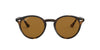 Ray-Ban RB2180 Dark-Tortoise-Brown-Polarised #colour_dark-tortoise-brown-polarised