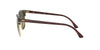 Ray-Ban Clubmaster RB3016 Dark-Tortoise-Green-1 #colour_dark-tortoise-green-1