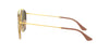 Ray-Ban RB3647N Gold-Pink #colour_gold-pink
