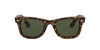Ray-Ban New Original Wayfarer RB4340 Dark Tortoise/Green #colour_dark-tortoise-green