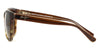 Maui Jim Starfish Starfish #colour_translucent chocolate with tortoise/hcl bronze