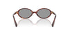 Miu Miu SMU04Z#colour_havana-mahogany-grey