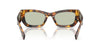 Miu Miu SMU09W#colour_honey-havana-green