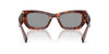 Miu Miu SMU09W#colour_havana-mogano-grey