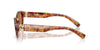 Miu Miu SMU A03#colour_havana-light-brown