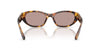 Miu Miu SMU A03#colour_honey-havana-light-purple-brown
