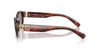 Miu Miu SMU A03#colour_havana-mahogany-grey