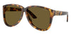 Miu Miu SMUA08 #colour_honey havana/dark brown