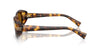 Miu Miu SMUB09S #colour_honey havana/dark bronze