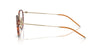 Oliver Peoples TK-11 OV1360T#colour_gold-tuscany-tortoise