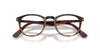 Persol PO3143V#colour_havana-brown