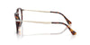 Persol Pier PO3387V#colour_havana