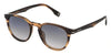 Police Champ 13 SPLQ82 #colour_shiny dark honey havana/grey gradient with light mirror