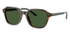 Polo Ralph Lauren PH4234U #colour_shiny striped brown/bottle green