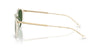 Polo Ralph Lauren PH4239U #colour_shiny transparent yellow/dark green